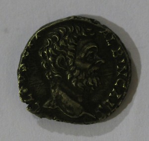 LOT 775