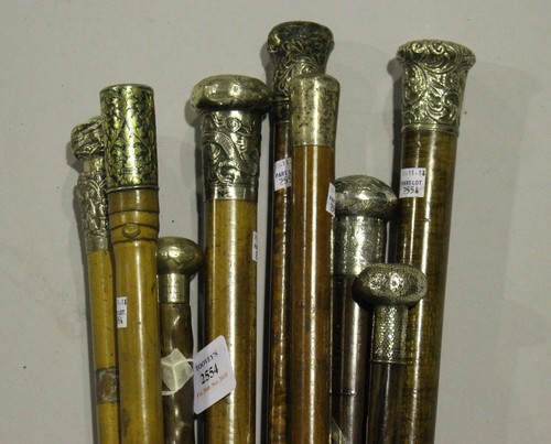 LOT 2554
