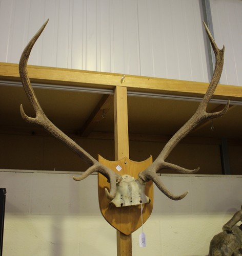 LOT 2578