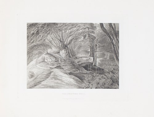 LOT 3165