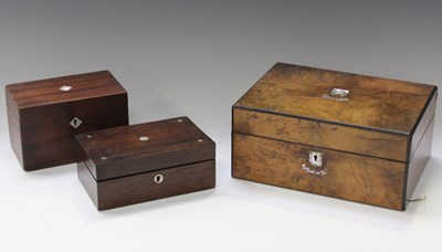 LOT 2556