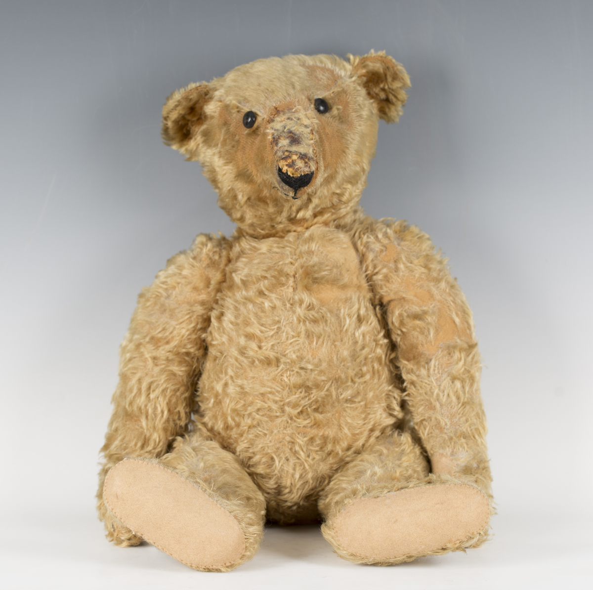 A Steiff mohair humpback growler teddy bear, circa 1910, with ...