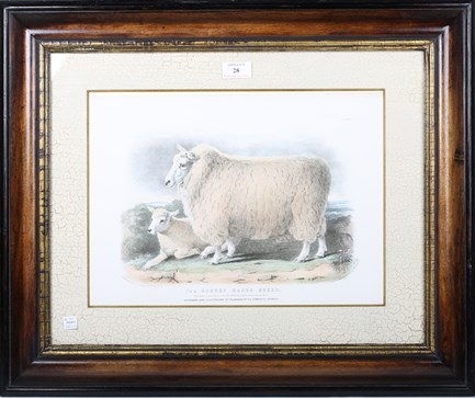 Specialist auctions of prints, maps and posters at Toovey’s in West Sussex