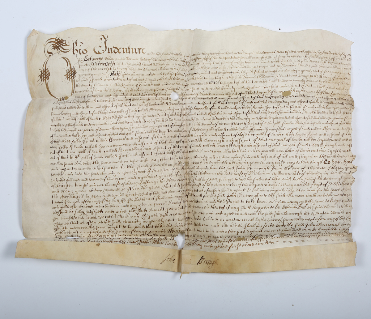 1500-1600s Large Vellum Handwritten Indenture Manuscript Legal Document Old  - C9